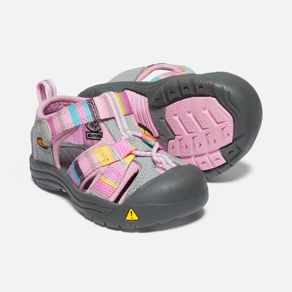 Keen Sandaal Kinderen Roze/Grijs - Venice H2 - 83250-TQIK